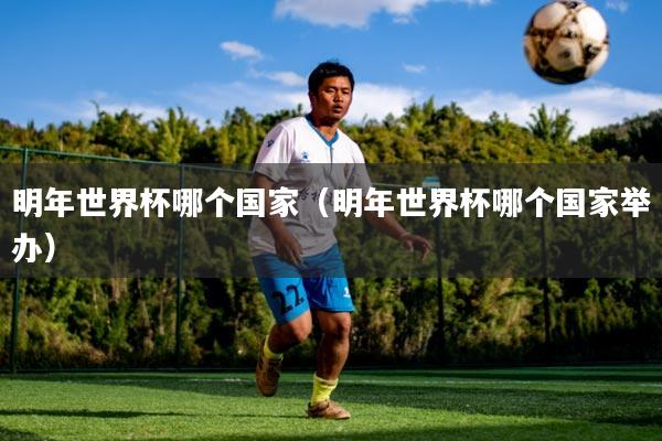 明年世界杯哪个国家（明年世界杯哪个国家举办）