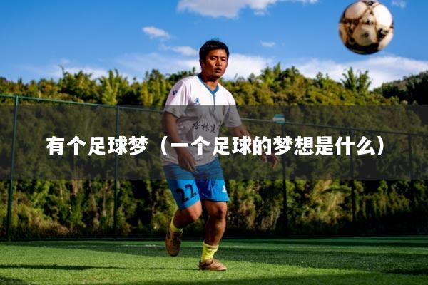 有个足球梦（一个足球的梦想是什么）