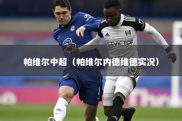 帕维尔中超(帕维尔内德维德实况)