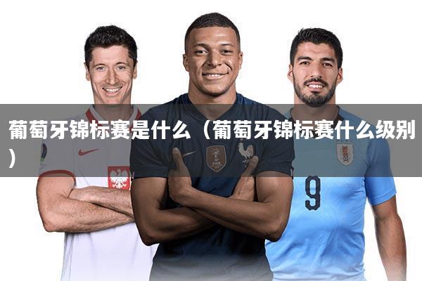 葡萄牙锦标赛是什么(葡萄牙锦标赛什么级别)