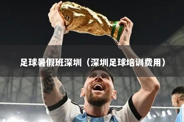 足球暑假班深圳(深圳足球培训费用)