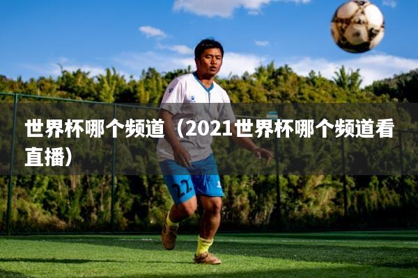 世界杯哪个频道（2021世界杯哪个频道看直播）