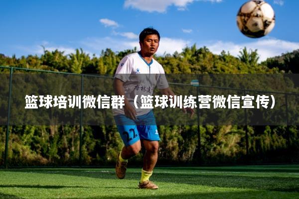 篮球培训微信群(篮球训练营微信宣传)