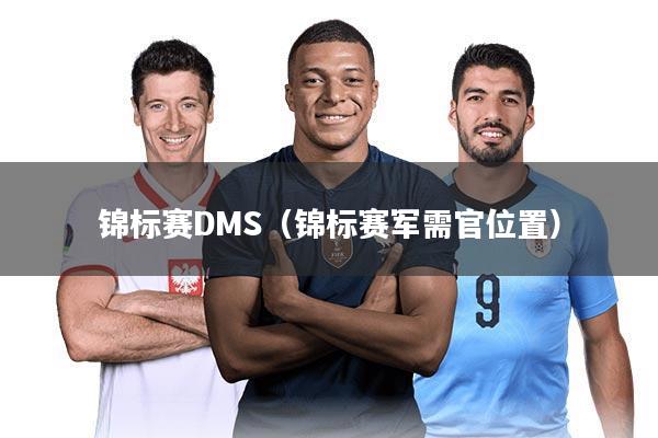 锦标赛DMS（锦标赛军需官位置）