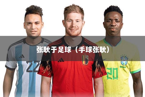 张耿于足球（手球张耿）